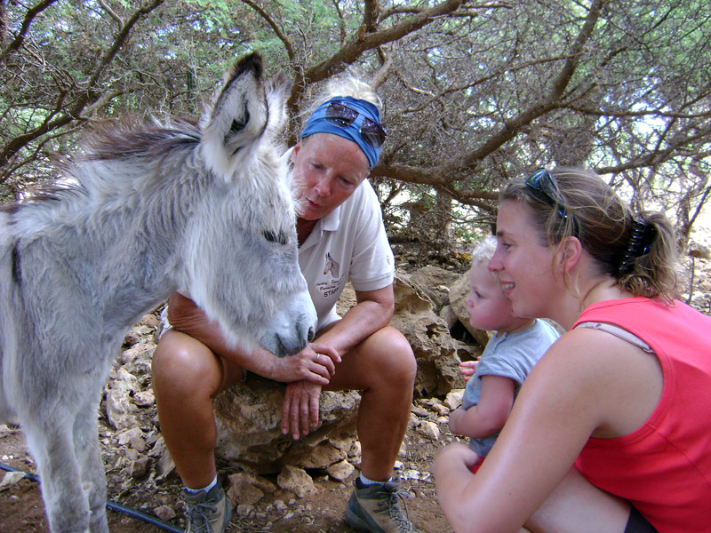 Anna_donkey_sanctuary