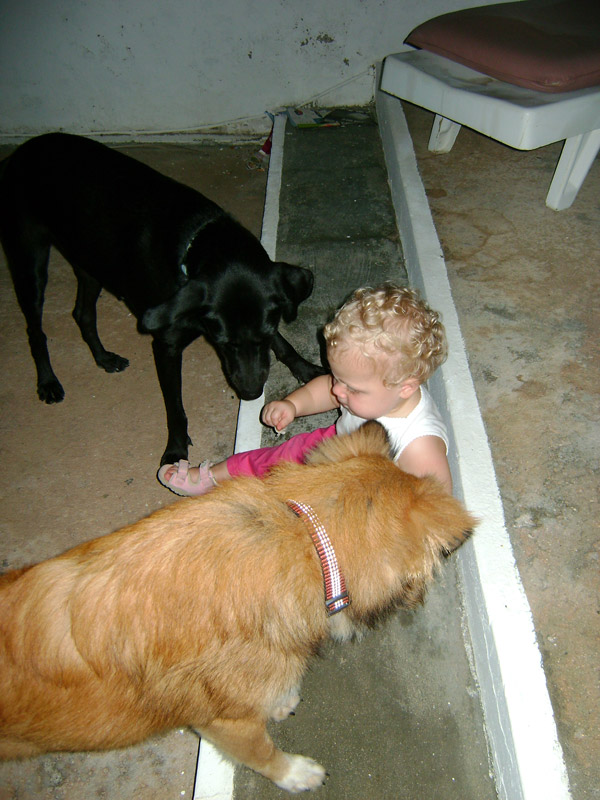 Anna_honden